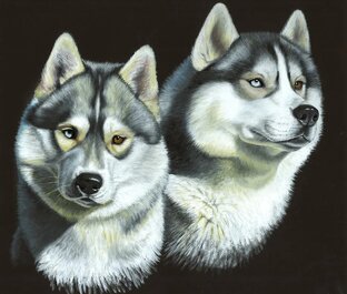 Охота с собаками