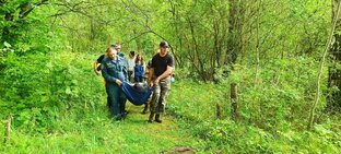 Отчёты о поисках