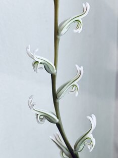 Лёгкое чтиво 