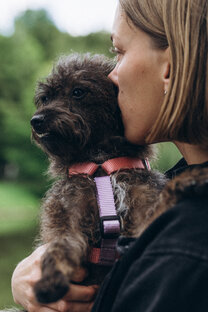 Контакт с собакой