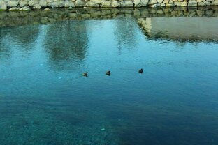 Вода