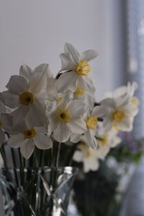 Зарубежная классика
