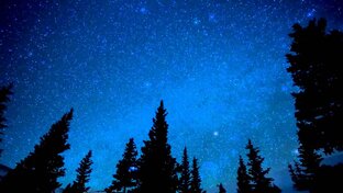 О союзе с Христом