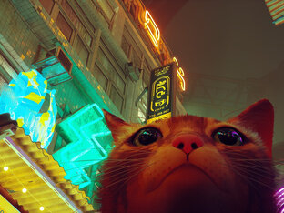 Stray