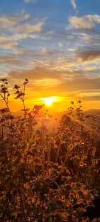 Ассоциации