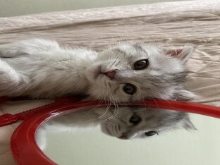Малышка