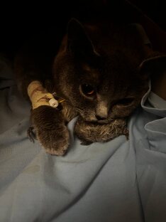 Стерилизация 