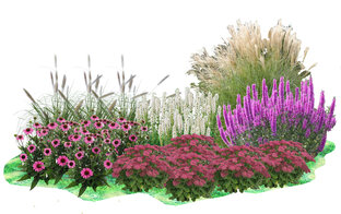 Схема цветников