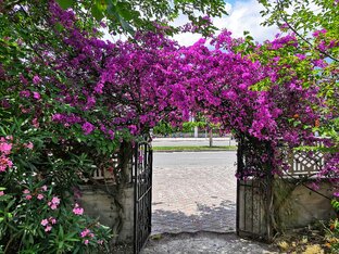 Отношения мужчины и женщины