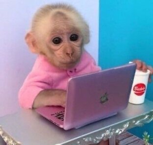 Сильнейшие животные и самые умные👍