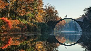 муз-шоу-медиа-ассоциации