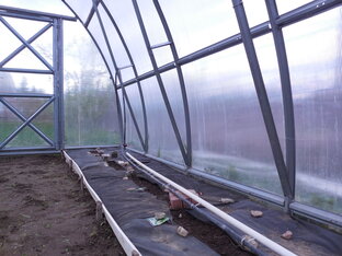 Теплица и то, что в ней растёт