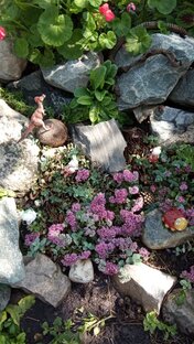 Дачное хозяйство.