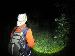 Долгие сложные поиски заблудившихся