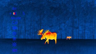 Тепловизоры