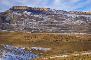 Быть может за стеной Кавказа...