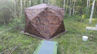 Туризм, грибы, ягоды, отдых в лесу