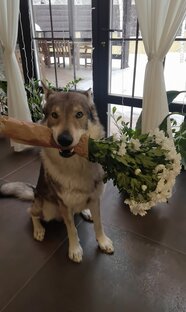 Частичка моей жизни и творчества 