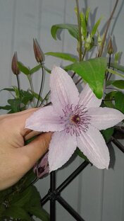 Весенние хлопоты