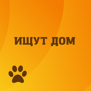 Найди друга