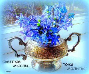 МЫСЛИ ВСЛУХ