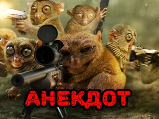 Анекдоты и юмор! 