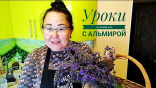 Уроки зельеваренья