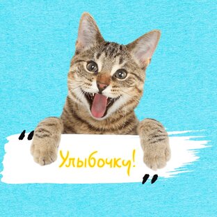 Такая смешная жизнь