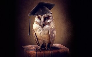 Мудрость-Жизненный опыт помноженный на глубину ума