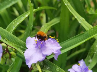 Мои фотографии