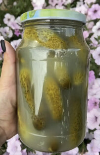 ДАЧНЫЕ рецепты