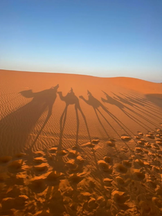 Путешествие и туризм