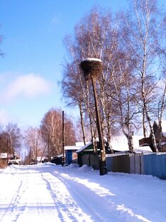 Рассказы Наташи Артамоновой