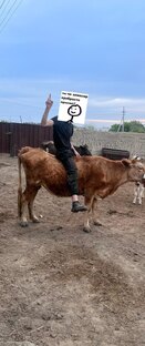 Тишина