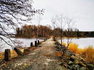 Походы выходного дня на октябрь 2023. Санкт-Петербург, Ленобласть.