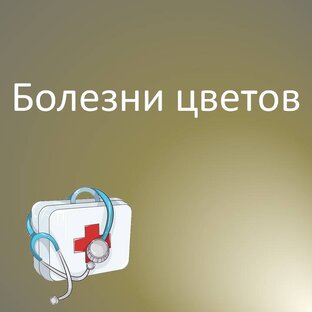 Болезни цветов