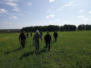 Поисковые видео