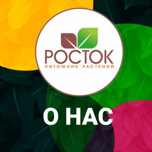 О НАС