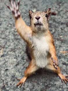 Давайте знакомиться)