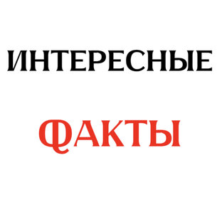Интересные факты 