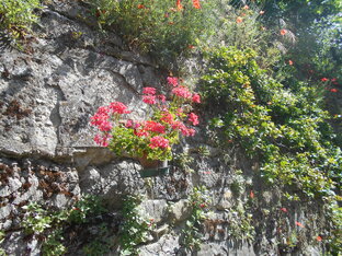 Эмилия-Романья