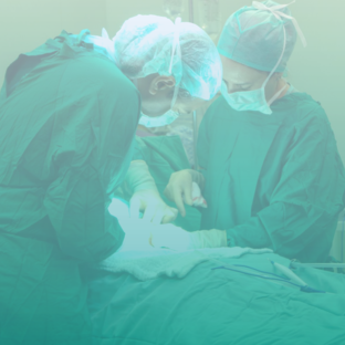 Истории спасения