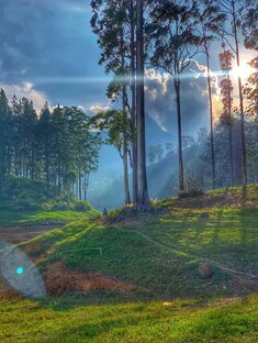 Шри-Ланка. Наш опыт.