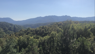 Путешествия 