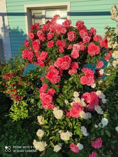 Поздравления🎉🎊🎉🎊🎉🎊 с Днём рождения🌹🌹🌹!!! 