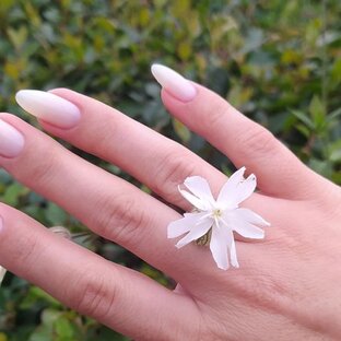 Идеи маникюра