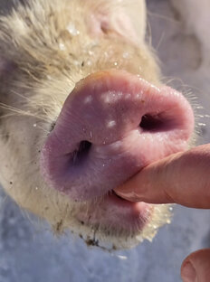 Сам себе режиссёр