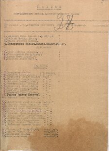 Александровский партизанский отряд