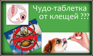 Пироплазмоз