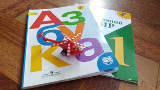 Ребенок с ЗПР